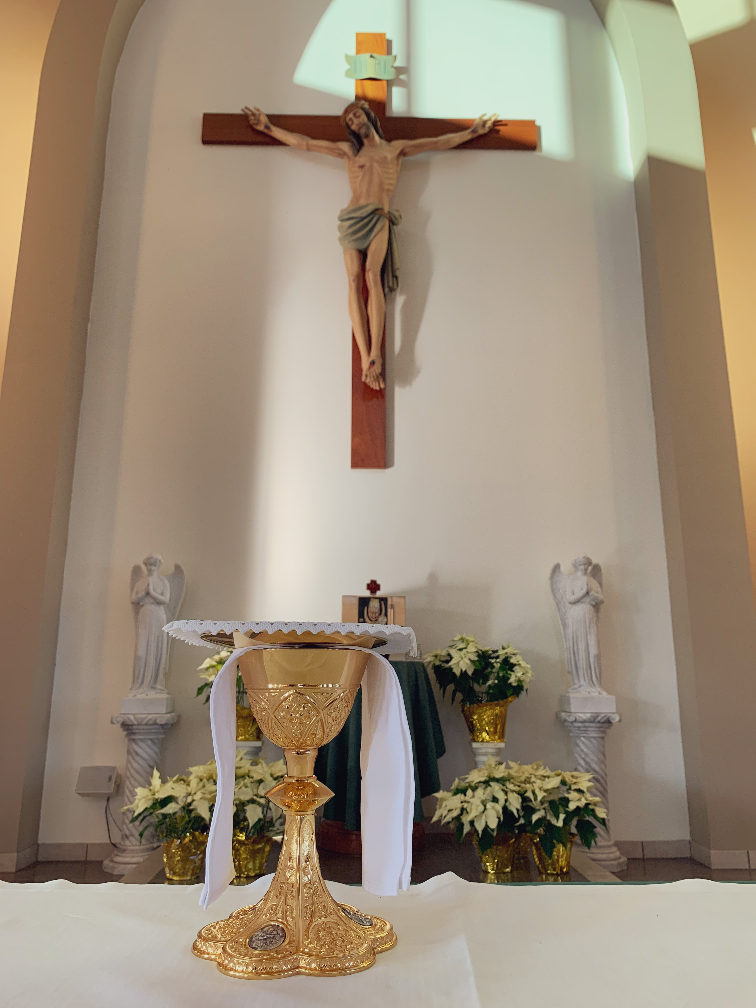 Merciful Redeemer Parish, Mississauga - Sacraments